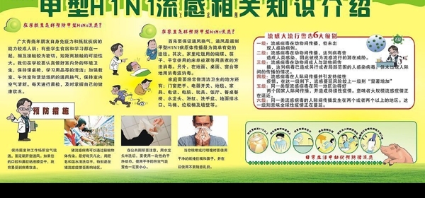 H1N1猪流感展牌图片