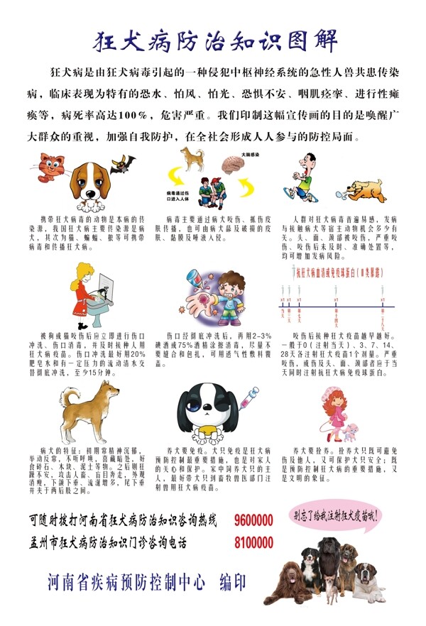 狂犬病防治知识图解图片