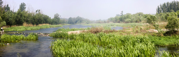 淇河湿地景观