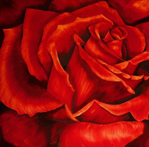 红色玫瑰花油画装饰画