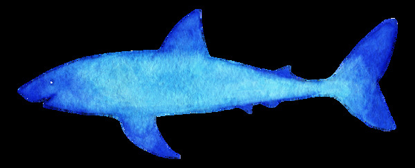 冰蓝鲨鱼卡通透明素材