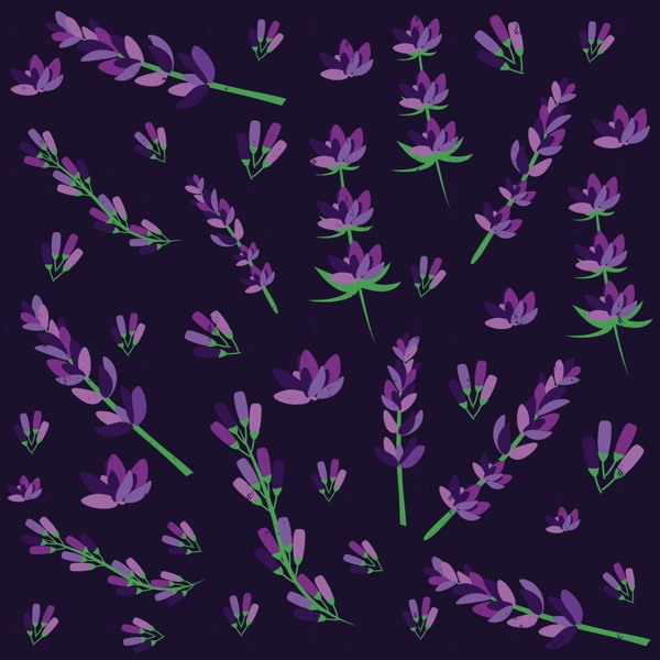 紫色薰衣草背景图