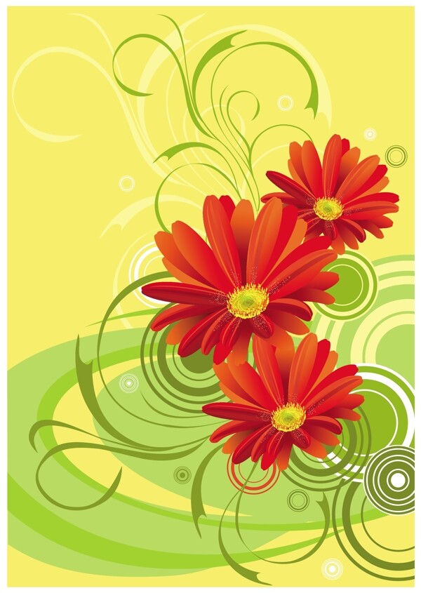 非洲菊切花的背景设计