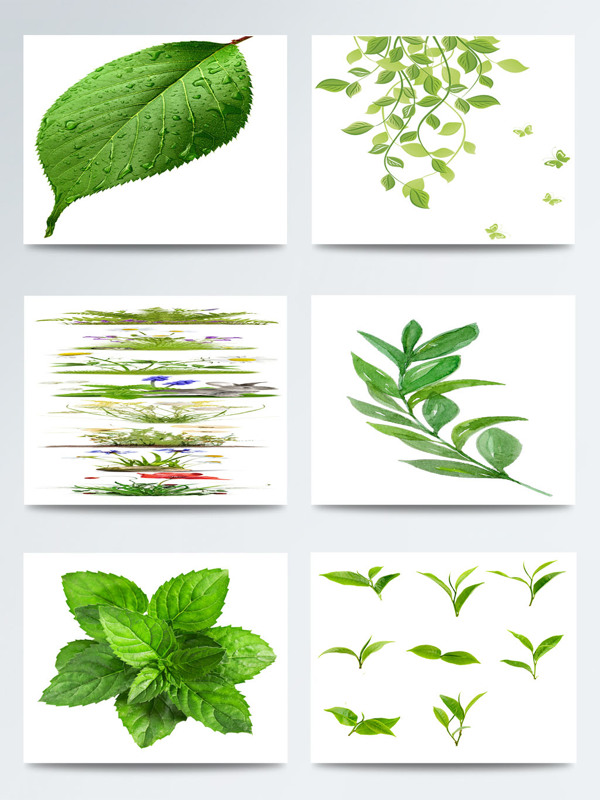 二十四节气立春绿色元素叶子图案