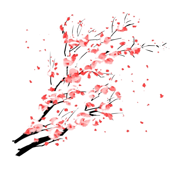 中国风手绘白梅花枝