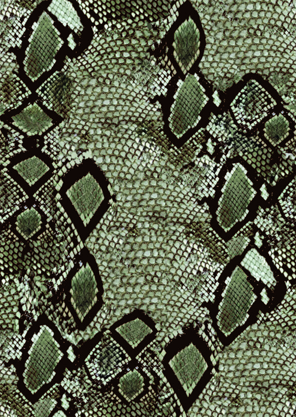 蛇皮纹鳄鱼纹抽象