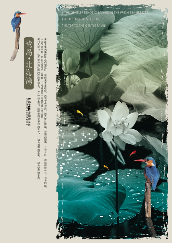 psd源文件房地产健活夏池塘荷花荷叶