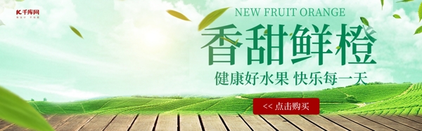 香甜鲜橙banner