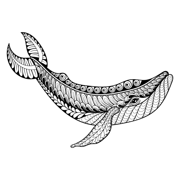 黑白艺术花纹鲸鱼插画