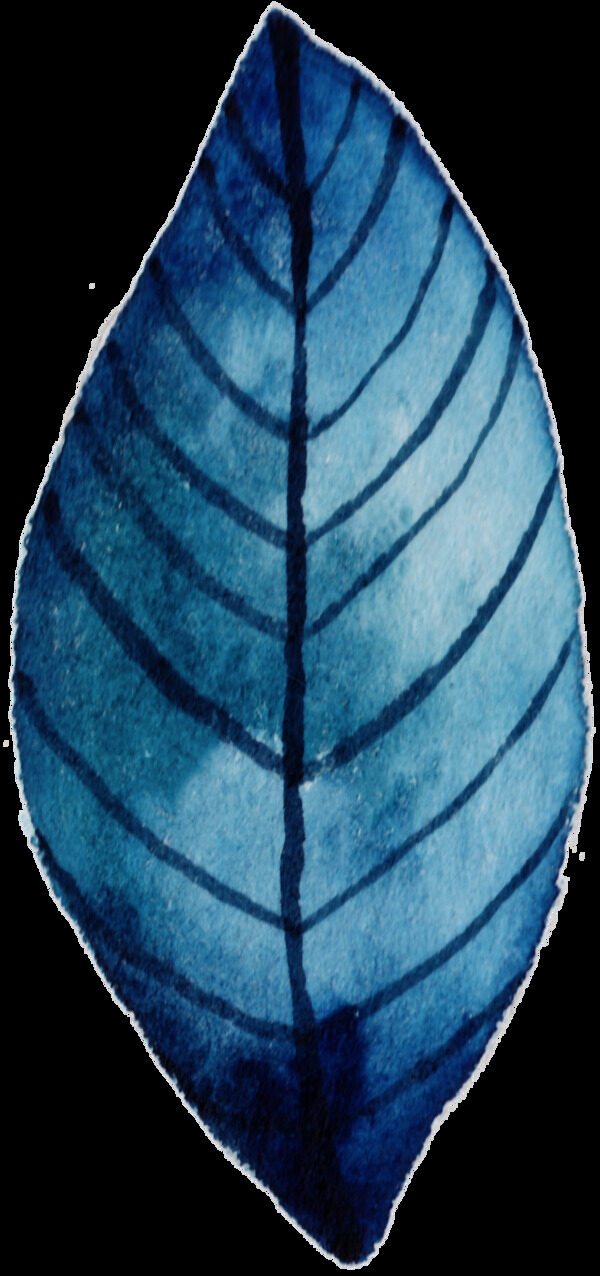 深蓝色纹理树叶免扣透明素材