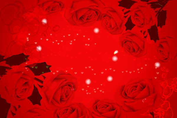 大红玫瑰情人节图片