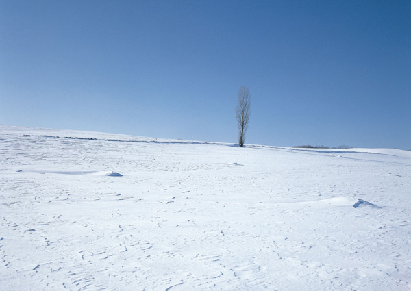 雪地图片