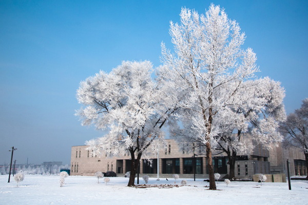 东北雪景图片