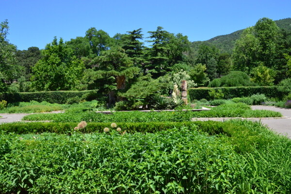 植物园风景