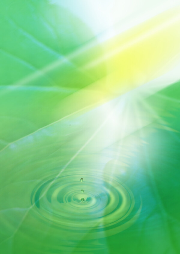 水滴水纹阳光树叶图片