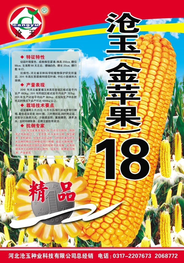 玉米了海报图片
