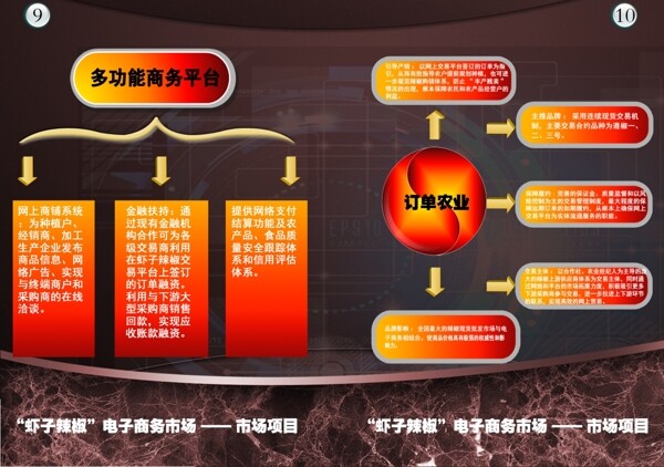 电商项目宣传册图片