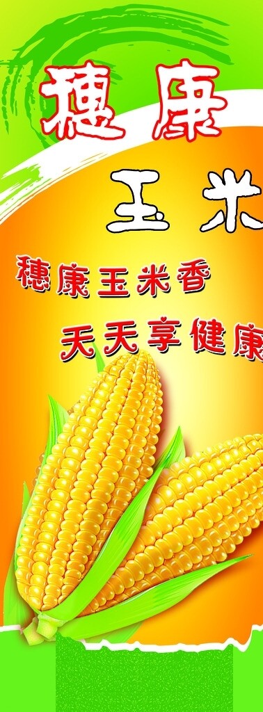穗康玉米图片