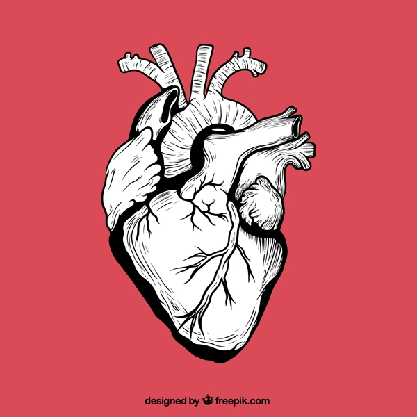 手绘心脏设计图片