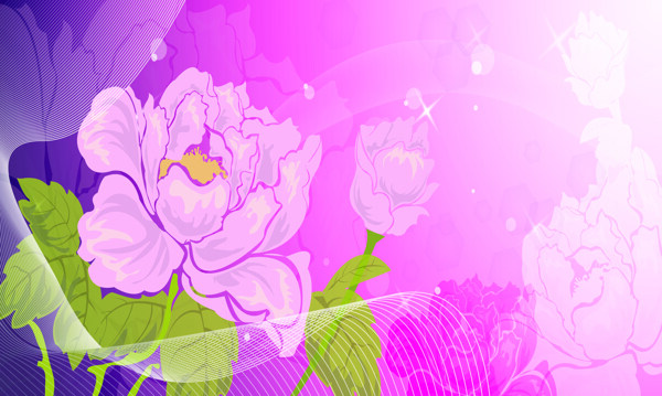 紫色花卉图片素材