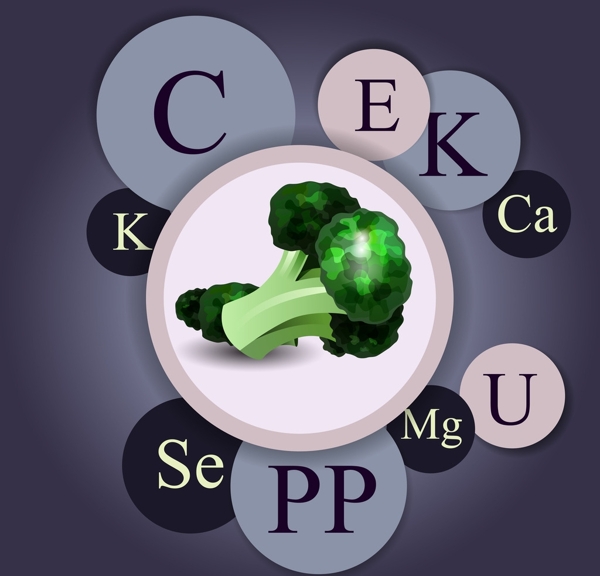 蔬菜维生元素信息图表