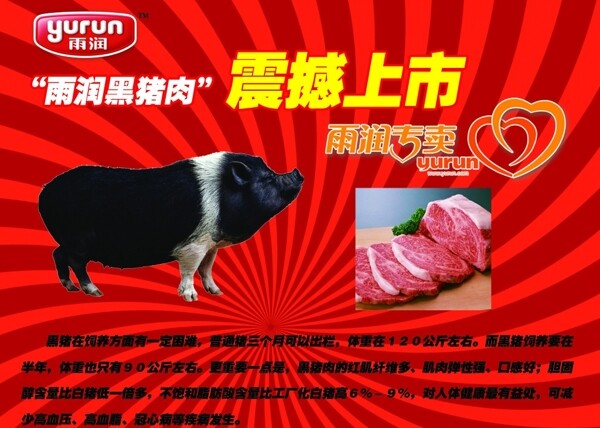 雨润黑猪肉海报图片