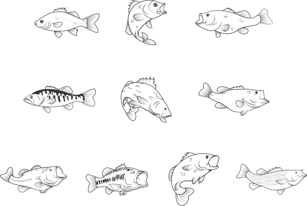 各种手绘鱼类