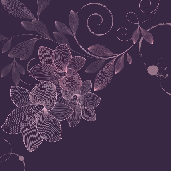 紫色花朵插画背景