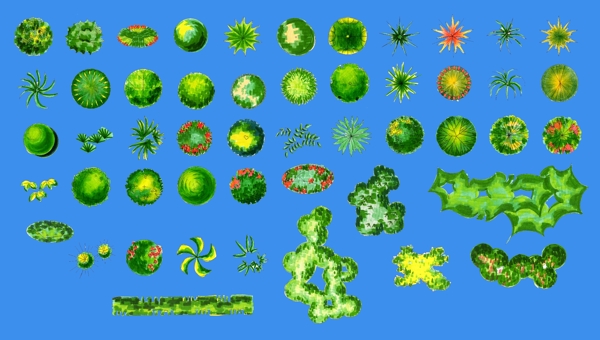 植物图例图片