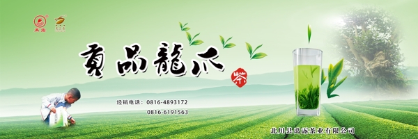 绿色茶叶海报