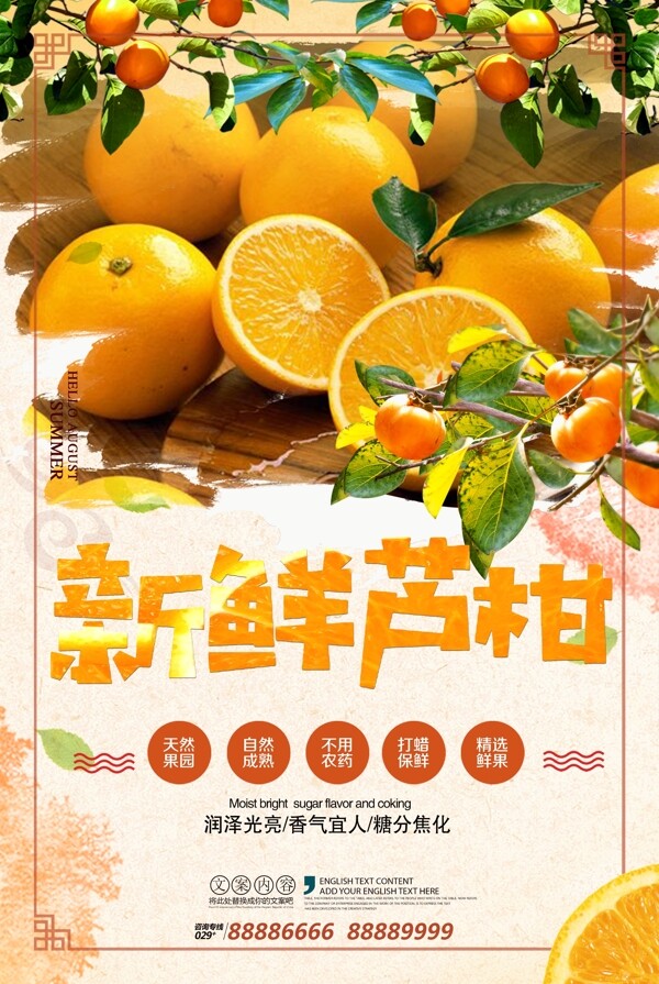 新鲜水果芦柑海报设计