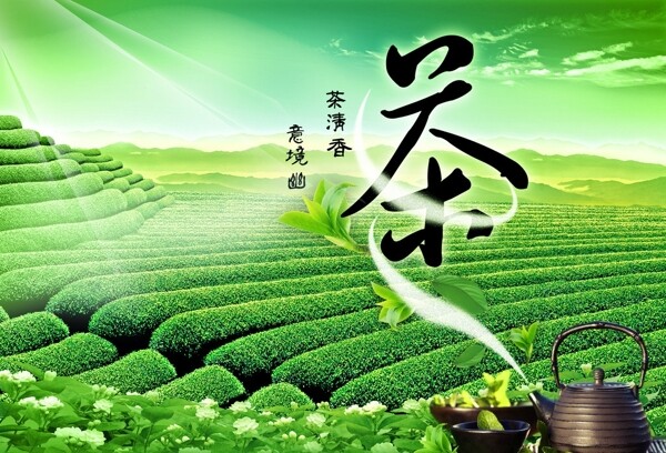 茉莉花清茶图片