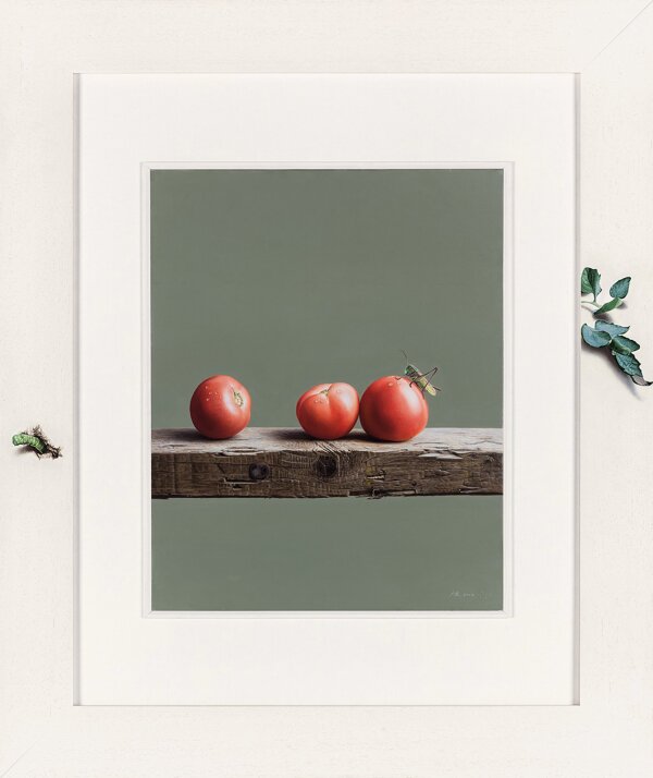 红柿图片