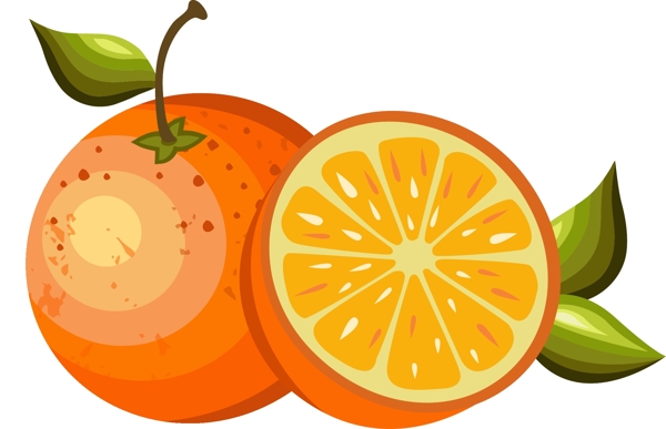 手绘橙子水果元素