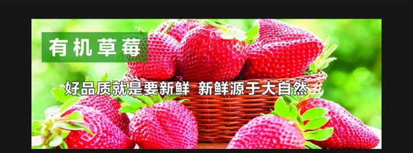 精美水果灯箱草莓