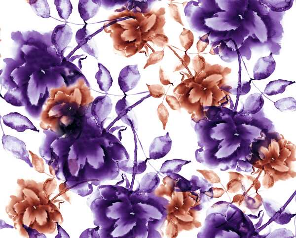 特色棕紫花图片