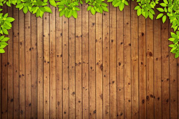 绿叶木板背景图片