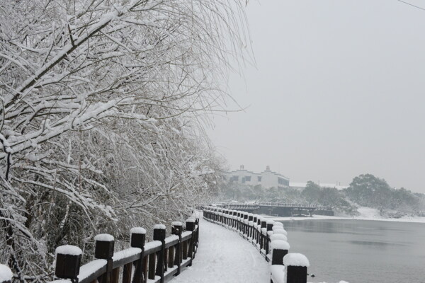 雪图片