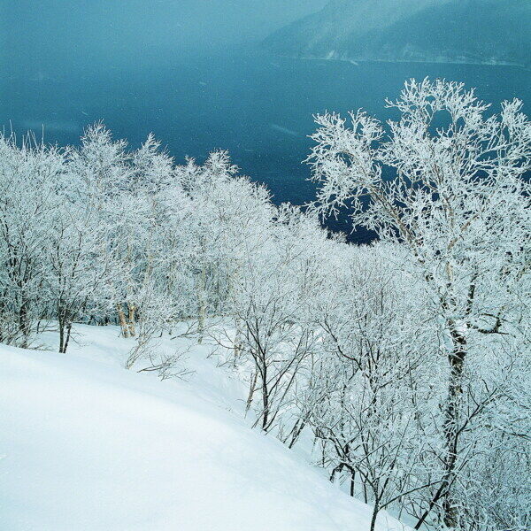 冬天雪景雪景大雪