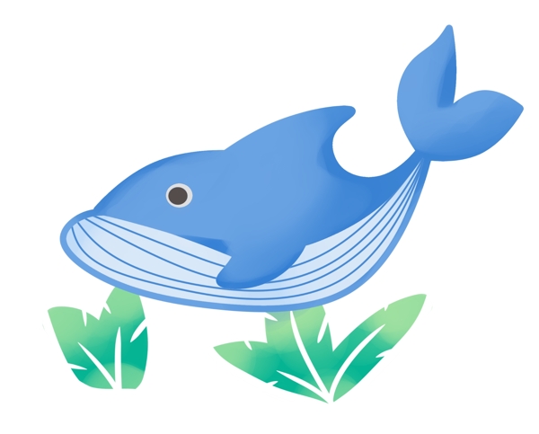 水生物海豚