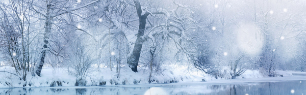 飘雪的树1920雪景背景素材105