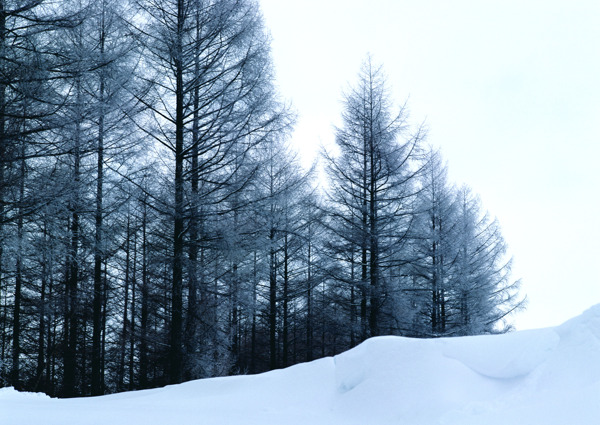 冰雪景象