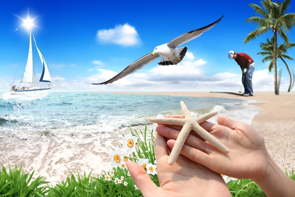 沙滩海滩沙滩海洋海星双手草椰子树男人打高尔夫球高尔夫球海鸥飞翔帆船蓝天白云生活娱乐休闲