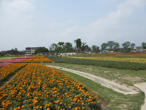 周浦花海旅游景点图片