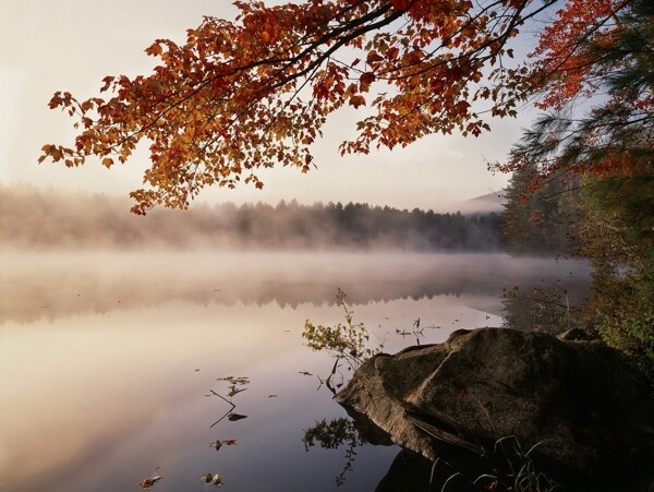 湖泊白雾风景图片
