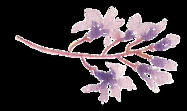 纷紫花叶卡通透明素材