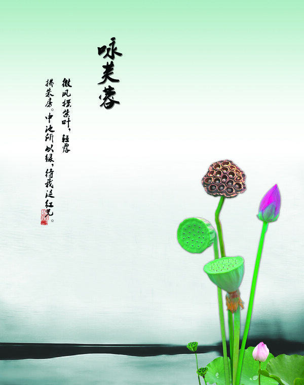 咏芙蓉移门图案