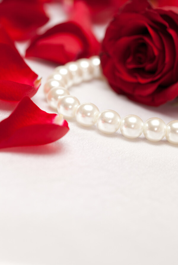 珍珠项链和玫瑰花图片