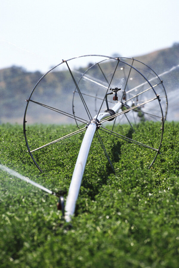 自动灌溉系统四图片