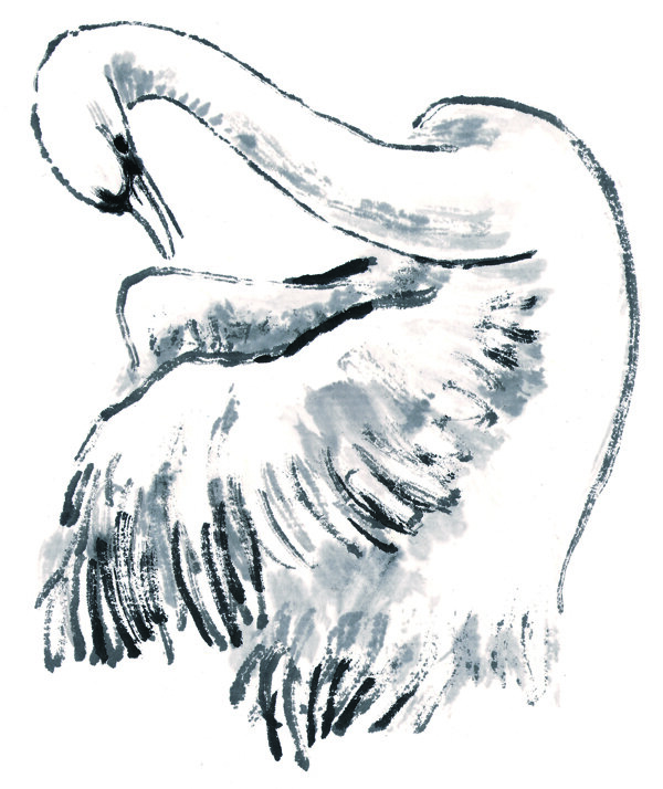 水墨风格的鹅图片